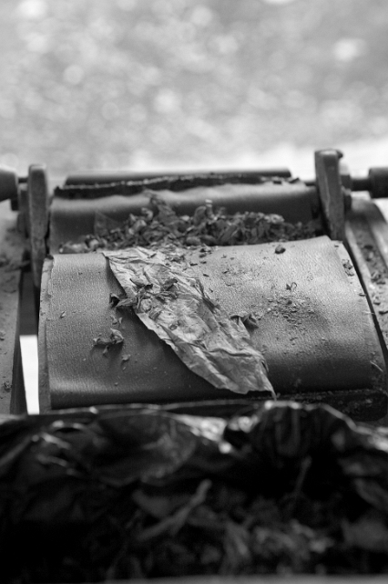 dominican_republic_119.jpg