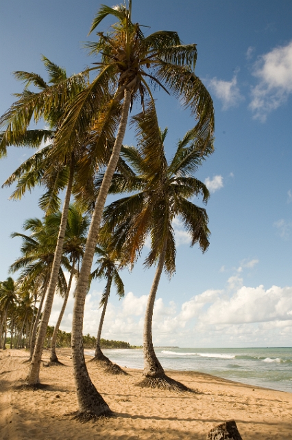 dominican_republic_158.jpg