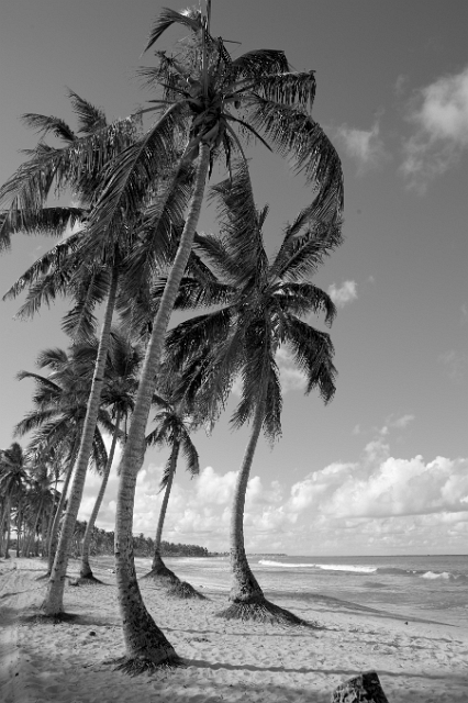dominican_republic_159.jpg