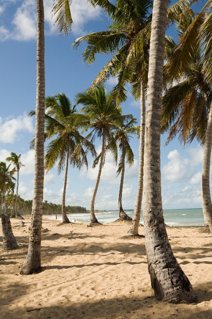 dominican_republic_168.jpg