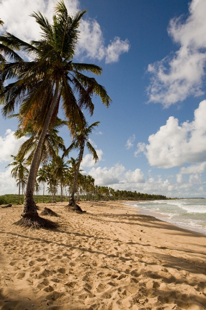 dominican_republic_171.jpg