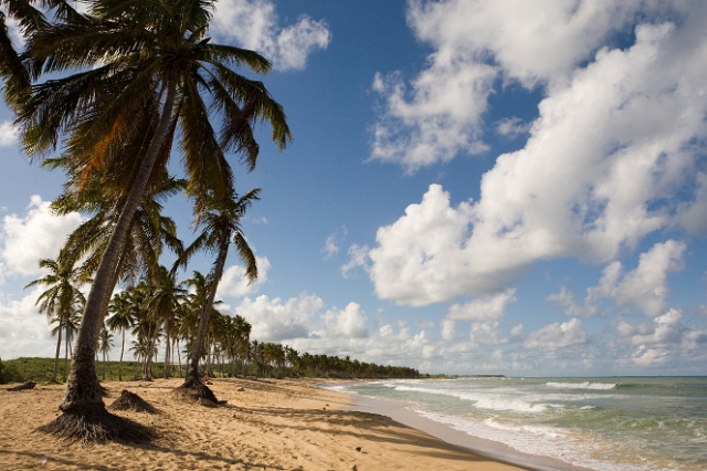 dominican_republic_173.jpg