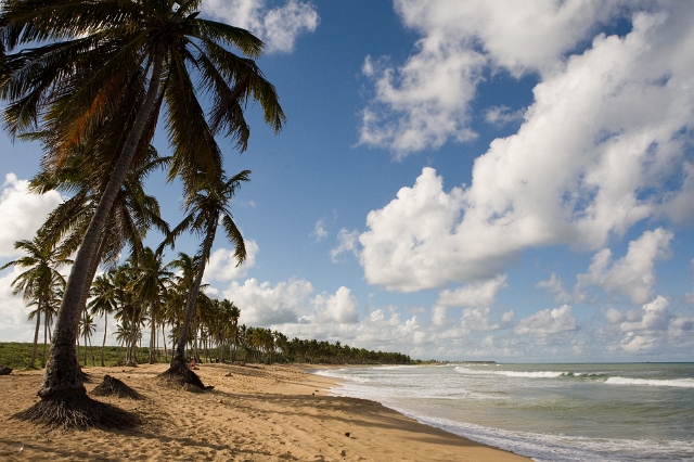 dominican_republic_174.jpg