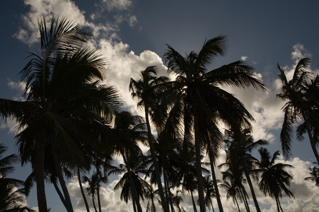 dominican_republic_178.jpg