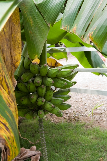 dominican_republic_60.jpg