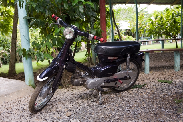 dominican_republic_75.jpg