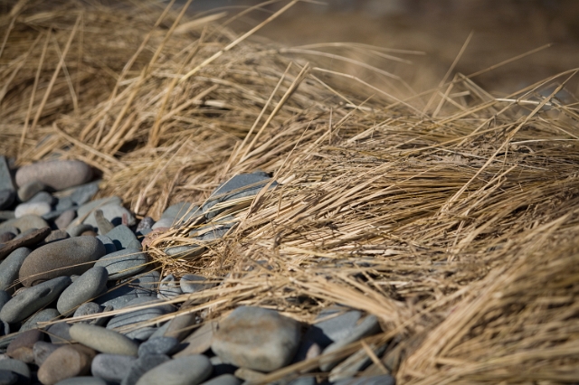 eastern_canada_beach_sand_6.jpg