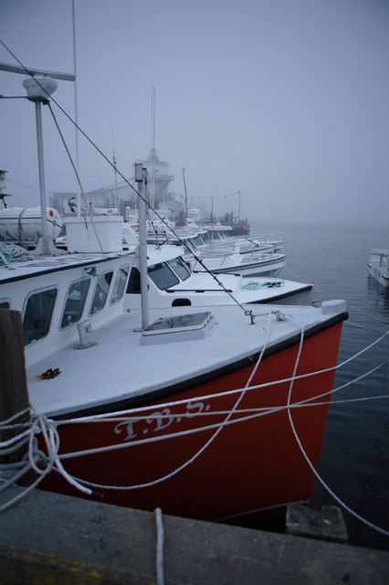 eastern_canada_eastern_passage_8.JPG