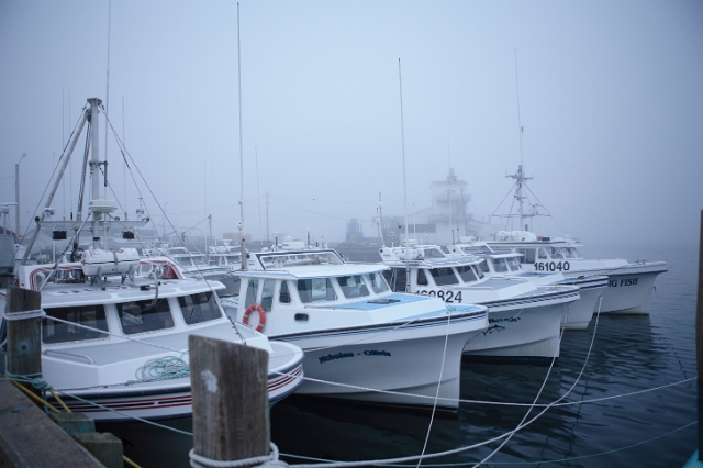 eastern_canada_eastern_passage_9.JPG