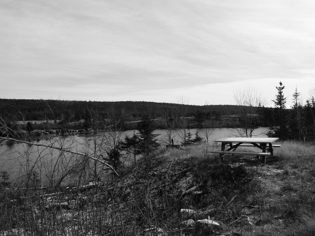 eastern_canada_porters_lake_after_hurricane115.JPG
