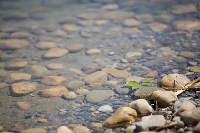 nature_river_rocks_1.jpg