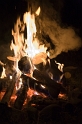 nature_campfire_4
