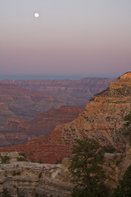 arizona_grand_canyon_16.jpg