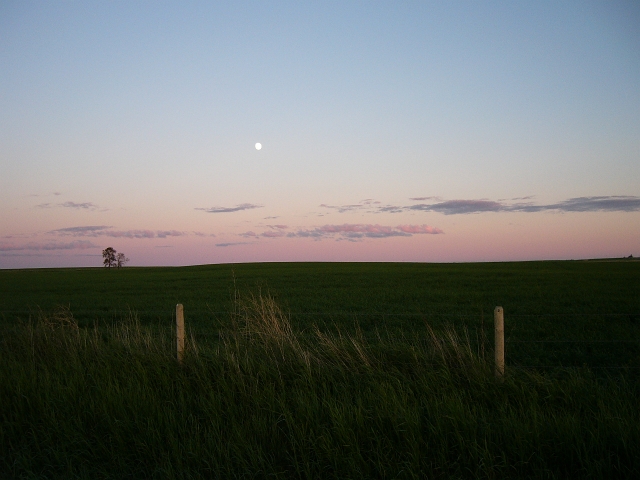 western_canada_farm_15.JPG