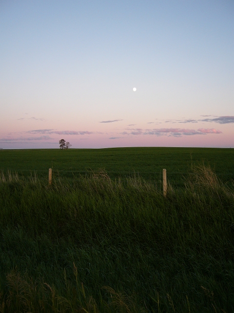 western_canada_farm_16.JPG