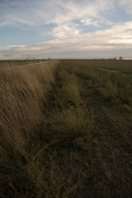 western_canada_farm_5.jpg