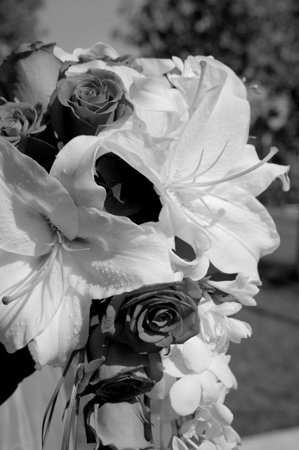 calgary_wedding_candid_kerriandjames_207.jpg