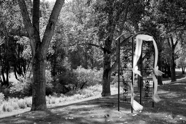 calgary_wedding_candid_kerriandjames_86.jpg