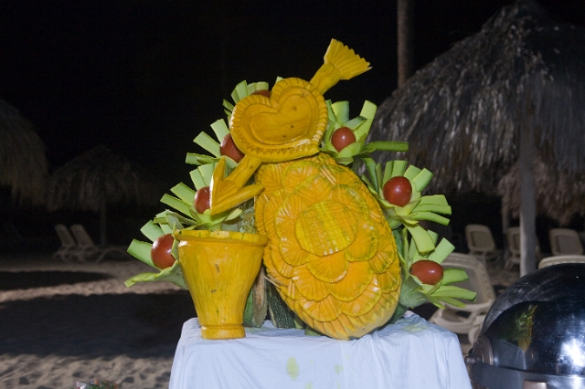 dominican_republic_wedding_reception_candid_philandrenae_90.jpg